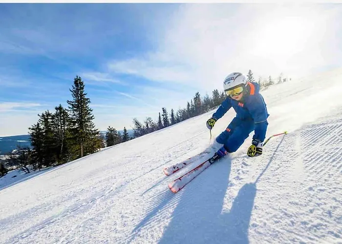 Koselig 10 Minutter Fra Sentrum Lillehammer