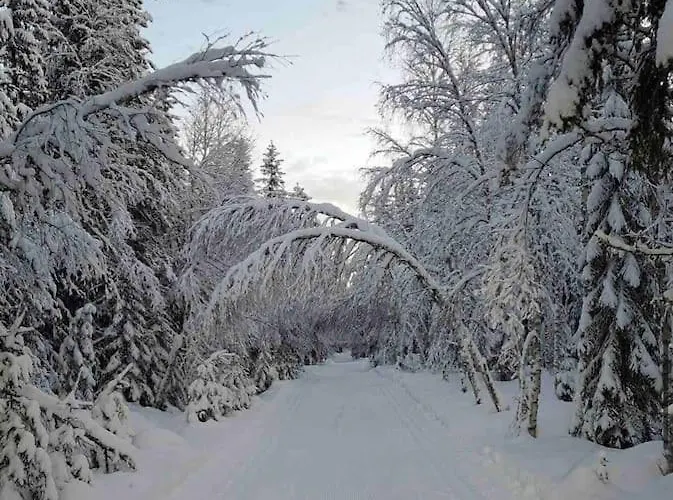 Koselig 10 Minutter Fra Sentrum