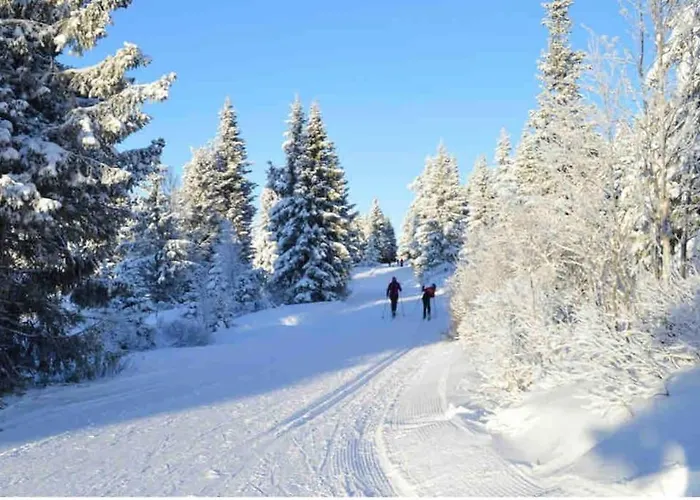 Ferienhaus Koselig 10 Minutter Fra Sentrum